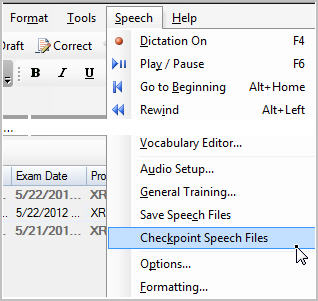 Speech File Image