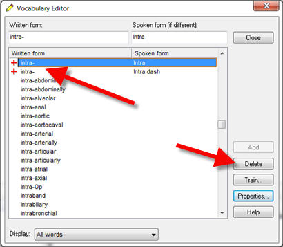 Vocabulary Editor 1